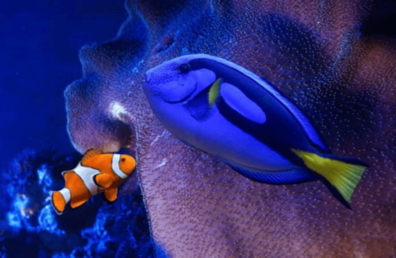 Mexico City: Fast Pass Ticket to Acuarium Inbursa - What you’ll see: penguins, sharks, rays, tropical fish, jellyfish