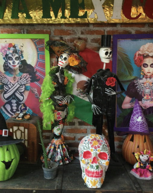Mexico City: Frida Kahlo, Coyoacán, and Xochimilco Day Tour - Frida Kahlo’s House and Coyoacán: why this morning feels personal