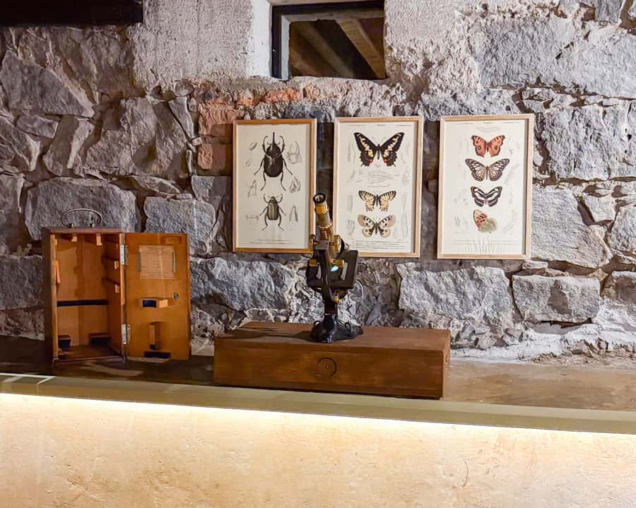 Mexico City: Frida Kahlo Museum Entry Ticket w/Digital Guide - FAQ