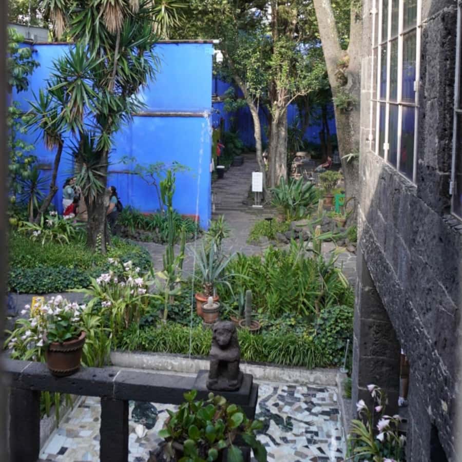 Mexico City: Frida Kahlo Museum Tour - Key things to know before you go