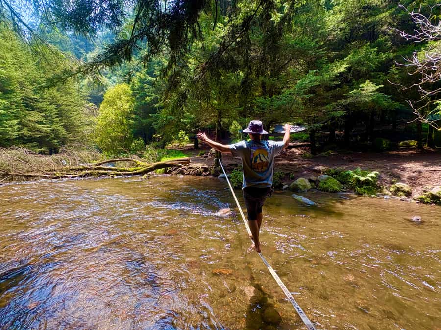 Mexico City: Guided Hike in the Dinamos Forest - Meeting in Condesa at 8:00 am: Getting There Without Stress