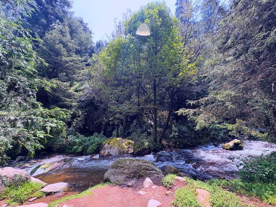 Mexico City: Guided Hike in the Dinamos Forest - The Dinamos Ruins: Where Water Helped Power the City
