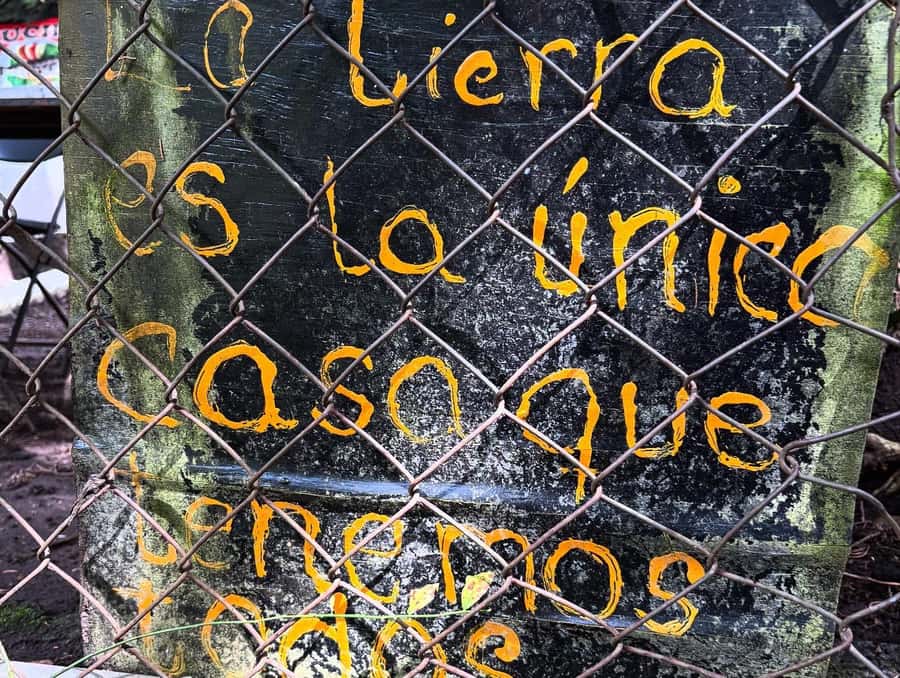 Mexico City: Guided Hike in the Dinamos Forest - Water in CDMX: From Lake Texcoco to Pipes Under Avenues