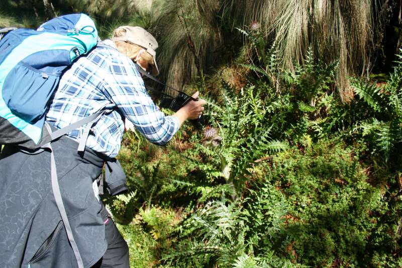 Mexico City: Guided Volcano Trek with Lunch - Paso de Cortes Start: Where You Feel the Volcano Before You Even Reach the Viewpoints