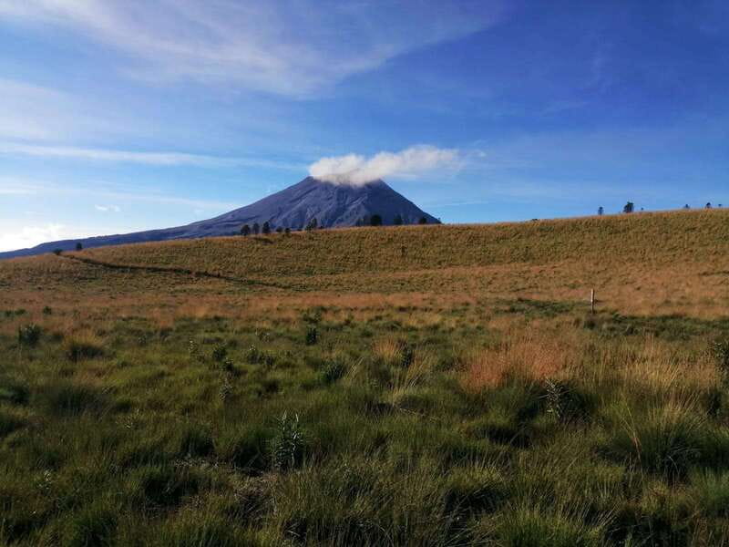 Mexico City: Guided Volcano Trek with Lunch - Lunch at the Traditional Market: A Real Stop, Not an Afterthought