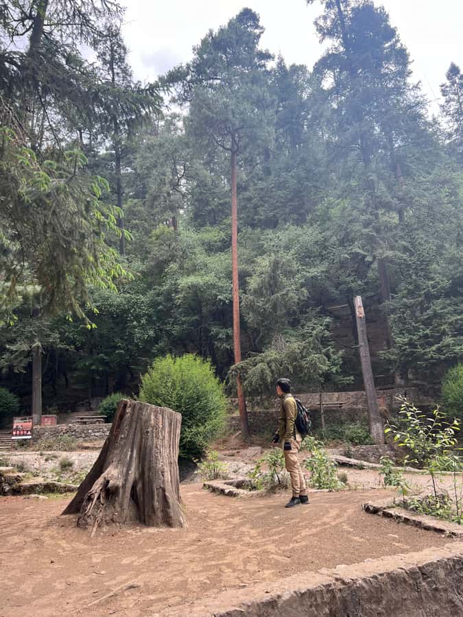 Mexico city: Hiking tour to Desierto de los leones - Quick hits: what makes this hike worth your time
