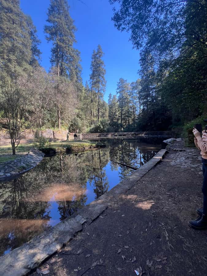 Mexico city: Hiking tour to Desierto de los leones - Getting there without stress: pickup, drive time, and what to do in transit