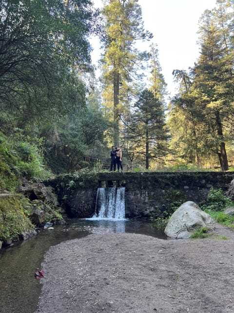 Mexico city: Hiking tour to Desierto de los leones - Arrival at the ex convent: what you’ll see and how the visit flows