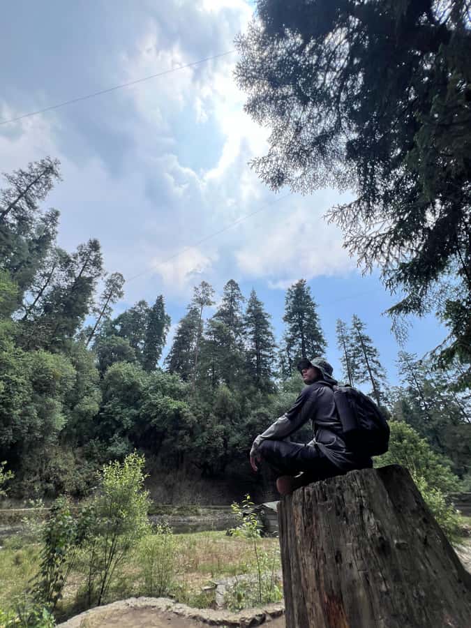 Mexico city: Hiking tour to Desierto de los leones - Food tasting and the lunch decision you make yourself