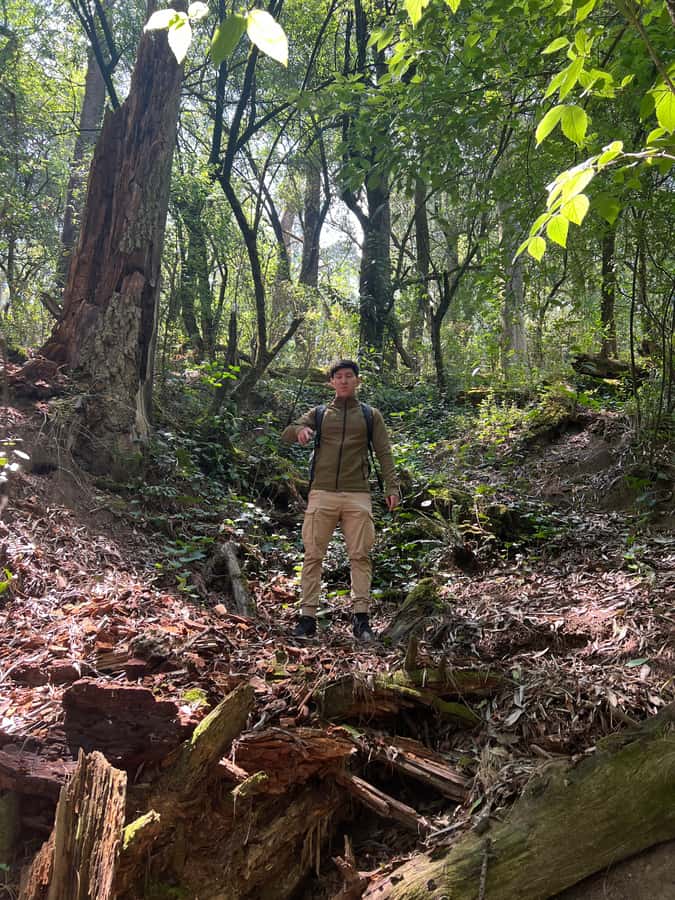 Mexico city: Hiking tour to Desierto de los leones - Pulque tasting: local drink, only if the moment works