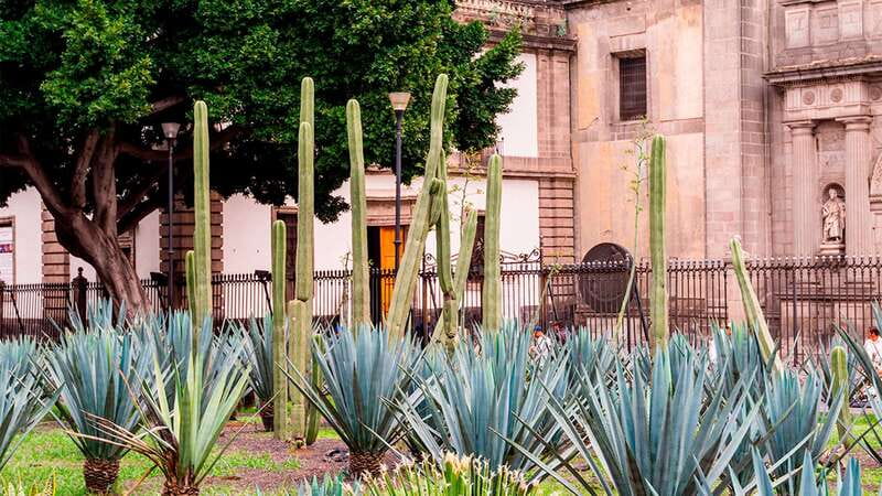 Mexico City: Historic Downtown Walking Tour - Templo Mayor ruins and the shift from Tenochtitlan to the colonial city