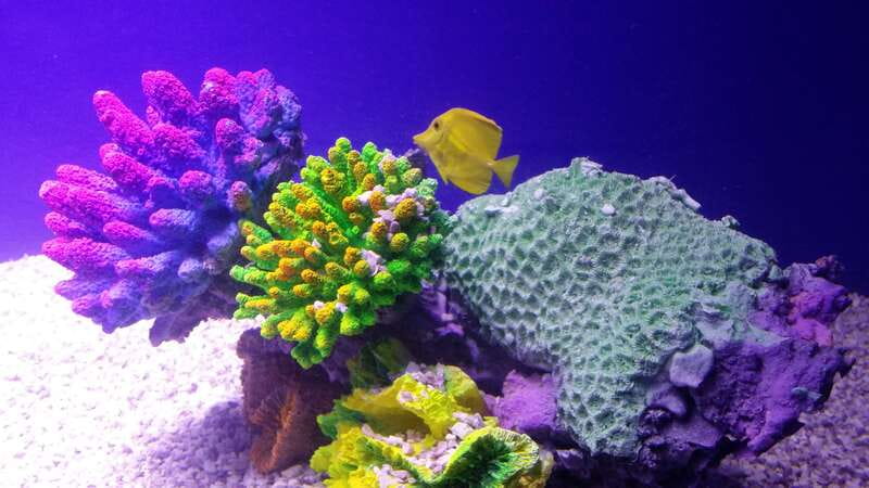 Mexico City: Inbursa Aquarium optional Round trip transfer - Key things that make this aquarium visit work
