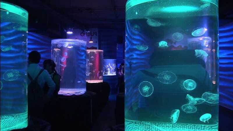Mexico City: Inbursa Aquarium optional Round trip transfer - Photos, souvenirs, and the “don’t miss this before you leave” moment