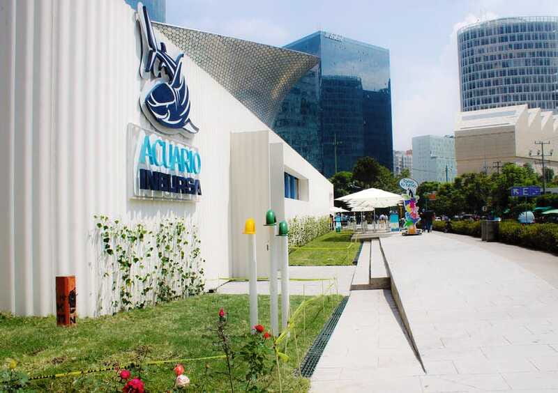 Mexico City: Inbursa Aquarium optional Round trip transfer - Should you book the Inbursa Aquarium with optional round-trip transfer?