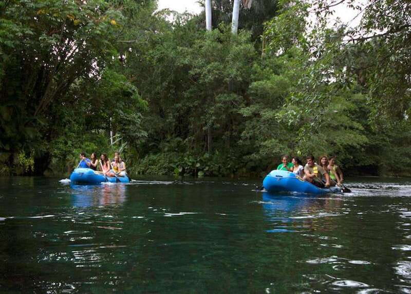 Mexico City: Las Estacas Natural Park Private Tour - Lunch and grills: eat your way without forcing a single menu