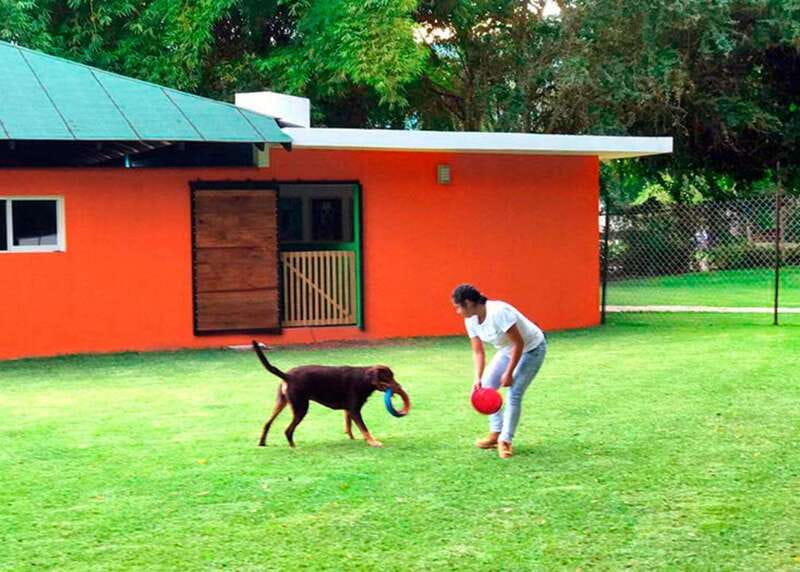Mexico City: Las Estacas Natural Park Private Tour - Spa options and relaxation time: bookend your water day