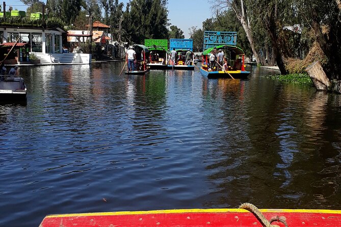 Mexico City Like a Local: Private & Custom Experience (2-4 hrs) - La Casa Azul area: Frida’s legacy before (or after) you go in