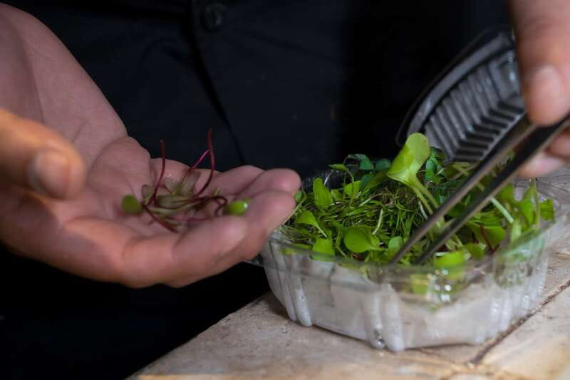 Mexico City: Mexican Cooking Class - Should You Book This Mexican Cooking Class in Mexico City?