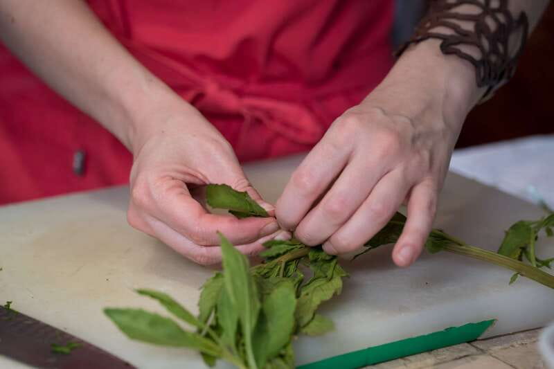 Mexico City: Mexican Cooking Class - What You’ll Cook: Three Courses and the Core Mexican Techniques