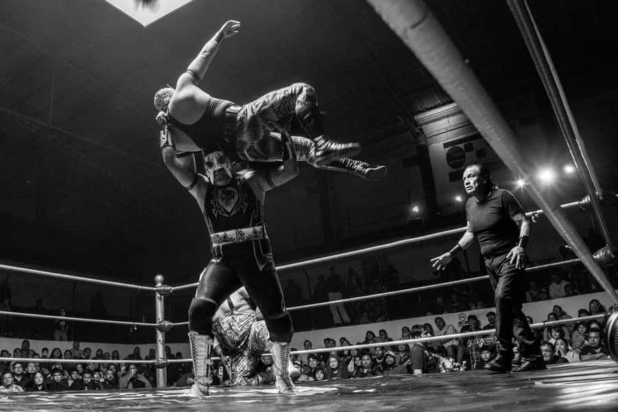 Mexico City: Mexican evening, lucha libre, and tequila - Key things that make this Mexico City night special