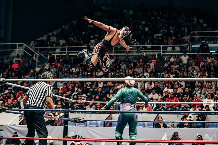Mexico City: Mexican evening, lucha libre, and tequila - A 4-hour program that feels made for an evening out