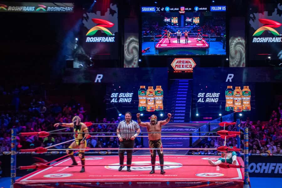 Mexico City: Mexican Lucha Libre Experience & Mezcal Tasting - What Makes the Tour Feel Better: The Guide Tone