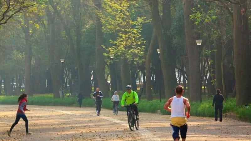Mexico City: Private Chapultepec Park Bike Tour - Key Stops You’ll Actually Care About (Not Just Drive-By Sights)