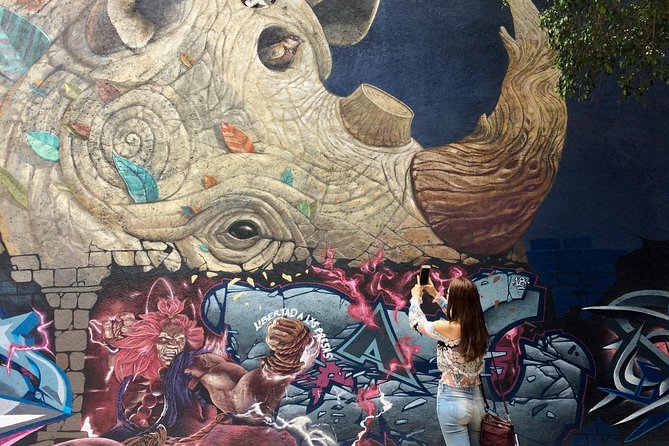 Mexico City Private Street Art Tour - Street Art Lessons With Historical, Political, and Cultural Context