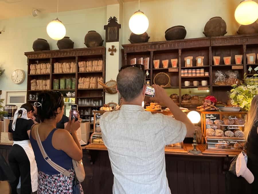 Mexico City: Roma and Condesa Guided Walking Tour - Browsing fashion, galleries, and bookstores without feeling lost