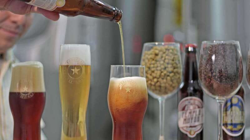 Mexico City Tasting Tour and Craft Beer Experience - Meeting Point, Pickup Reality, and How to Not Miss the Bus