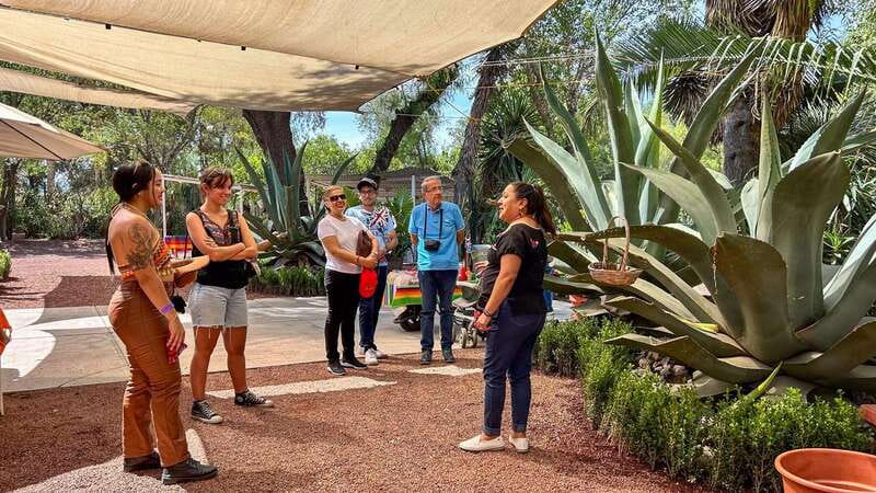 Mexico City: Teotihuacan, Tlatelolco & Basilica of Guadalupe - Teotihuacan: walk the avenues, climb for the Sun Pyramid views