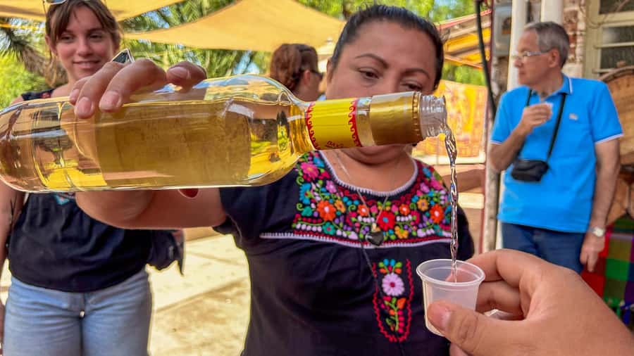 Mexico City: Teotihuacan, Tlatelolco & Guadalupe Shrine Tour - Obsidian workshop, tequila tasting, and the fiesta-lunch break