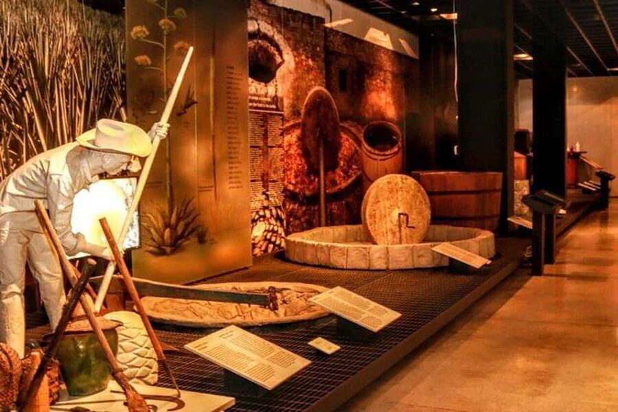 Mexico City: Tequila and Mezcal Museum Ticket with Tastings - Your 2-Hour Guided Tour: What Happens After You Arrive
