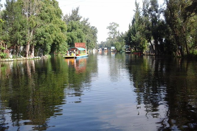 Mexico City Tour And Xochimilco - How the guide and driver shape the day