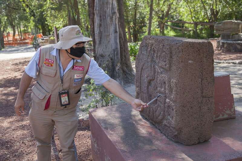 Mexico City: Trip to Teotihuacan Pyramids & Guadalupe Shrine - Meeting Point and Coach Ride: Timing, Seats, and Comfort