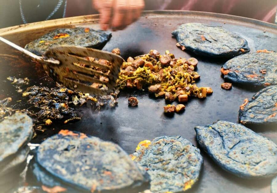 Mexico City: Vegan and Vegetarian Street Food Adventure - Reforma, a Quick Metrobus Ride, and How to Move Like a Local