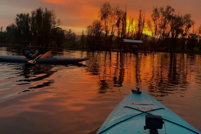 Mexico City: Xochimilco at sunrise + Breakfast and transportation - Gliding the Xochimilco canals at dawn: kayuko, birds, and volcano views