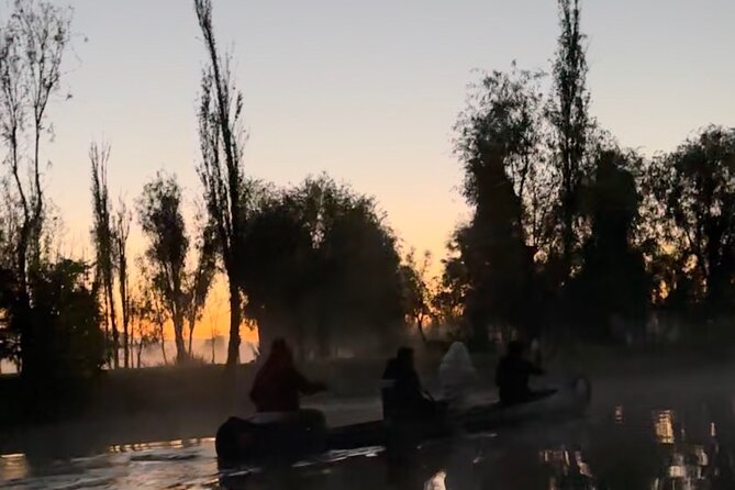Mexico City: Xochimilco at sunrise + Breakfast and transportation - Chinampa stop and organic breakfast: what “harvested right then” means