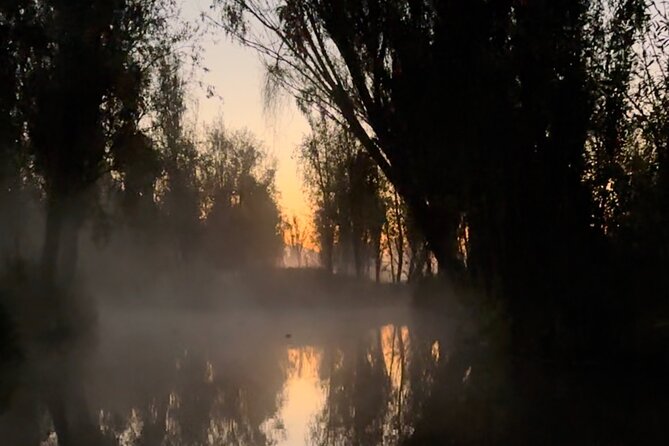 Mexico City: Xochimilco at sunrise + Breakfast and transportation - The ride back at light: seeing Xochimilco in a new mood