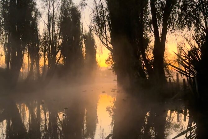 Mexico City: Xochimilco at sunrise + Breakfast and transportation - Price and logistics: is $173.25 worth it?
