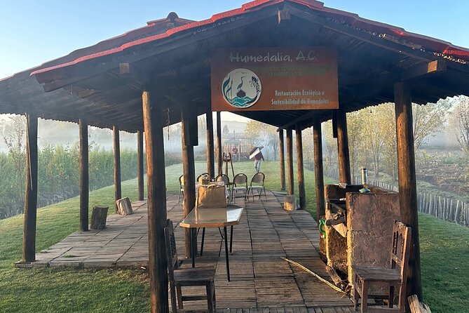 Mexico City: Xochimilco at sunrise + Breakfast and transportation - Who this tour is perfect for (and who should think twice)