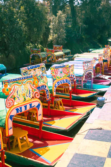 Mexico City: Xochimilco Boat with Guacamole & Premium Drinks - Entering Xochimilco at Canal 237 and the Purple Arches