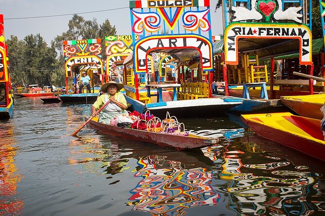 Mexico City: Xochimilco, Coyoacán and University City Tour - Price and logistics: value is real, but traffic is the wild card