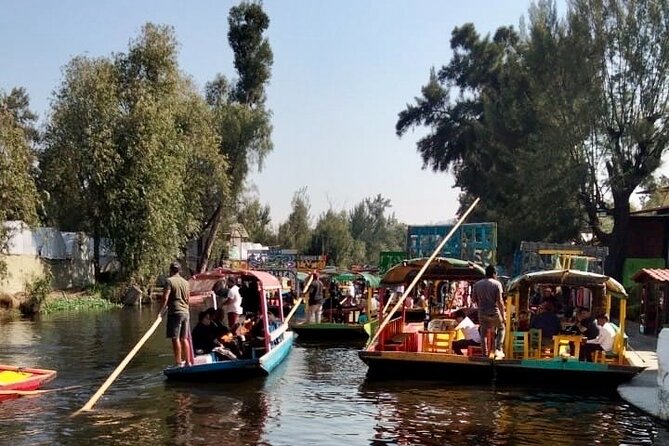 Mixology, Food, Wine and Beer Experience in Xochimilco - Weather and cancellations: the one thing to respect