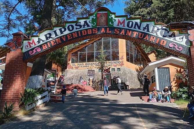Monarch Butterflies El Rosario Preserve from Mexico City - Price and value: is $585 worth it for up to 3?