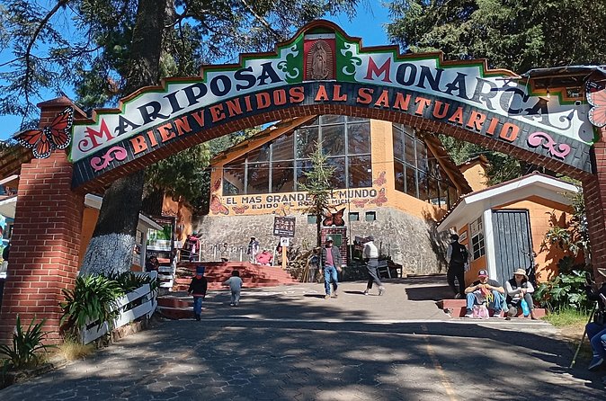 Monarch Butterflies El Rosario Preserve from Mexico City - Booking call: should you reserve this El Rosario monarch trip?