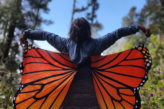 Monarch Butterfly Reserve: Piedra Herrada Magical Valle de Bravo - A Long Day from Mexico City That Actually Makes Sense