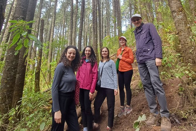 Monarch Butterfly Reserve: Piedra Herrada Magical Valle de Bravo - The Drive to Sierra Chincua: Why It’s Not Wasted Time