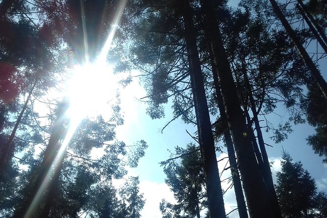Monarch Butterfly Sanctuary Day Trip from Mexico City - Valle de Bravo: lake time, boats, and water sports