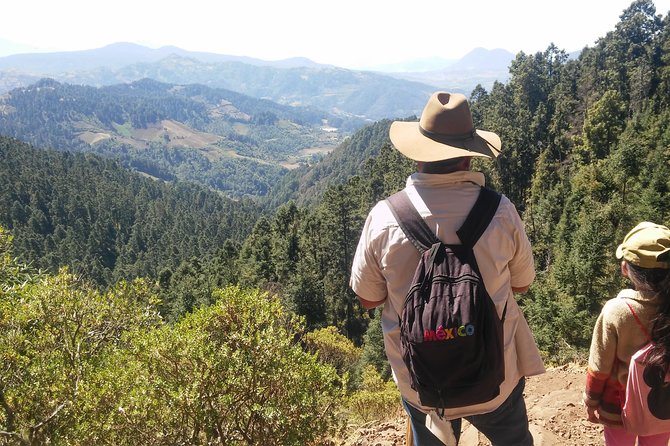 Monarch Butterfly Tour from Mexico City - The gastronomy workshop: ritual drinks, insects, quelites, and your tortilla